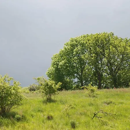 Strandhaus - 45499 * Lobbe